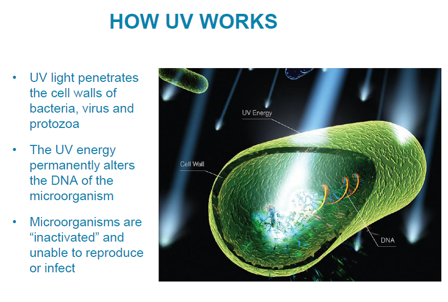 how UV works
